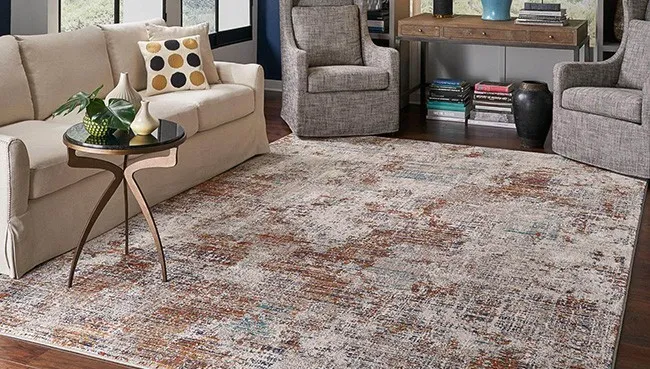 area-rug-img